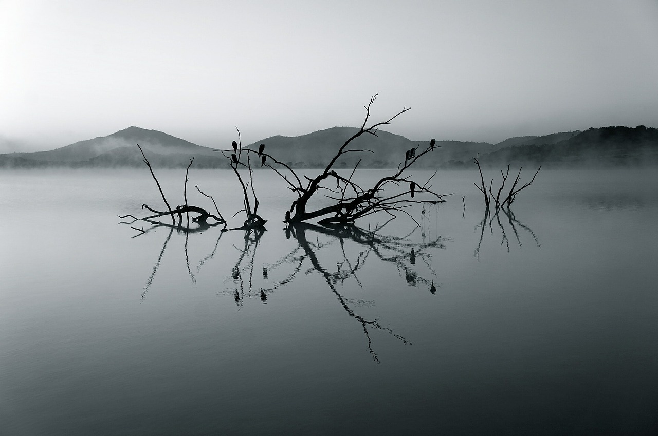 Image - nature reserve africa lake silent