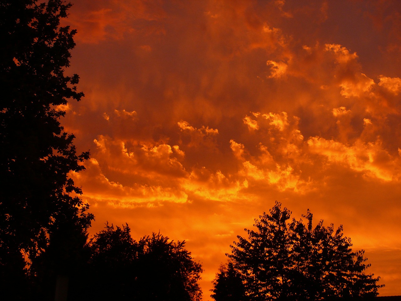 Image - sunset red clouds sky evening