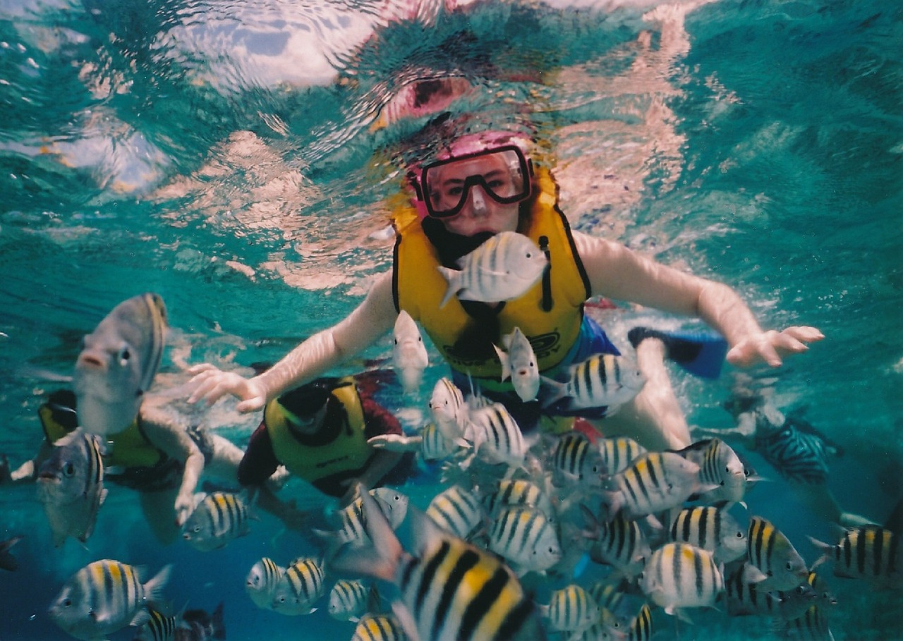 Image - reef snorkeling snorkeler reef
