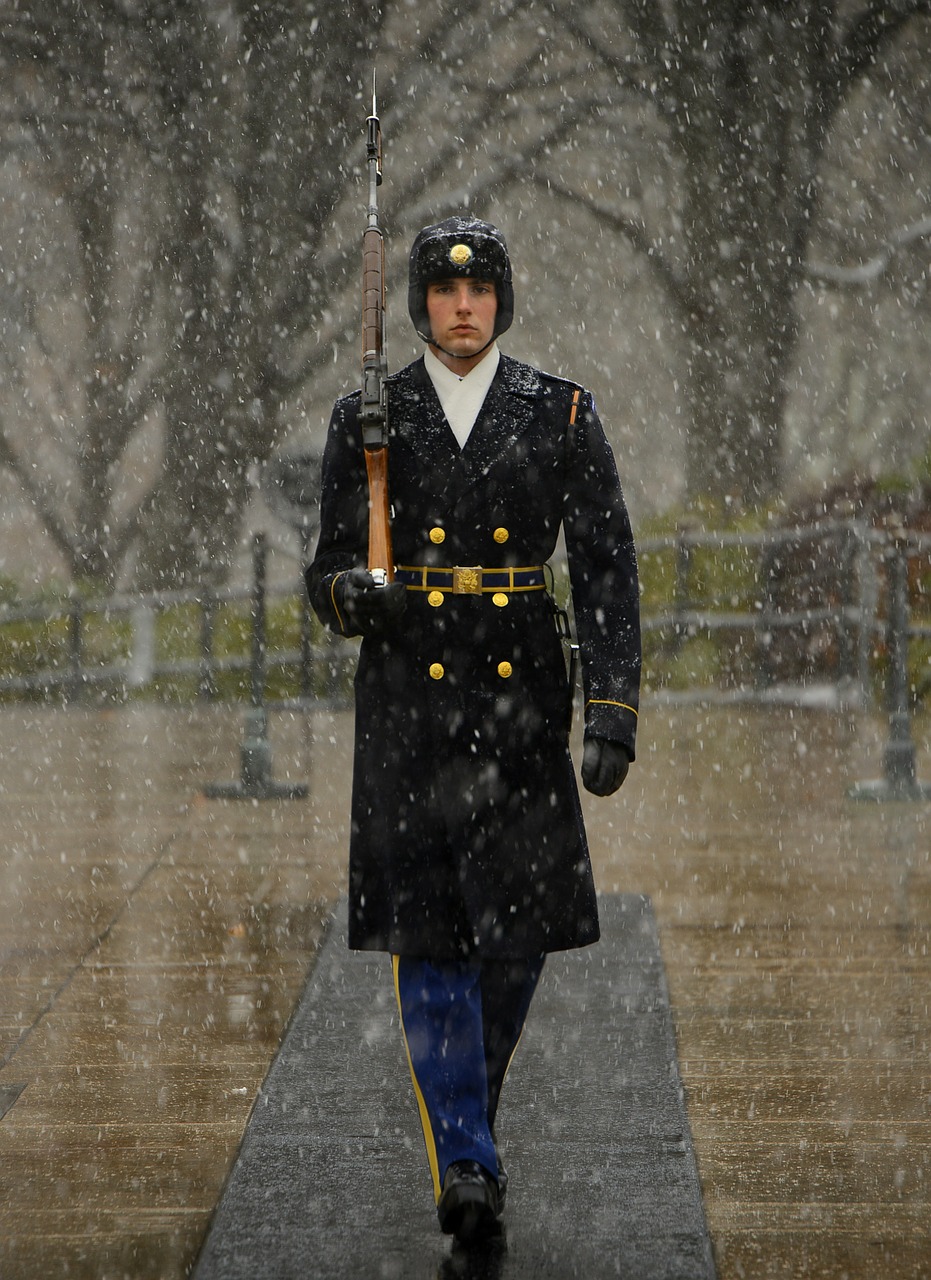 Image - sentinel tomb of unknown soldier