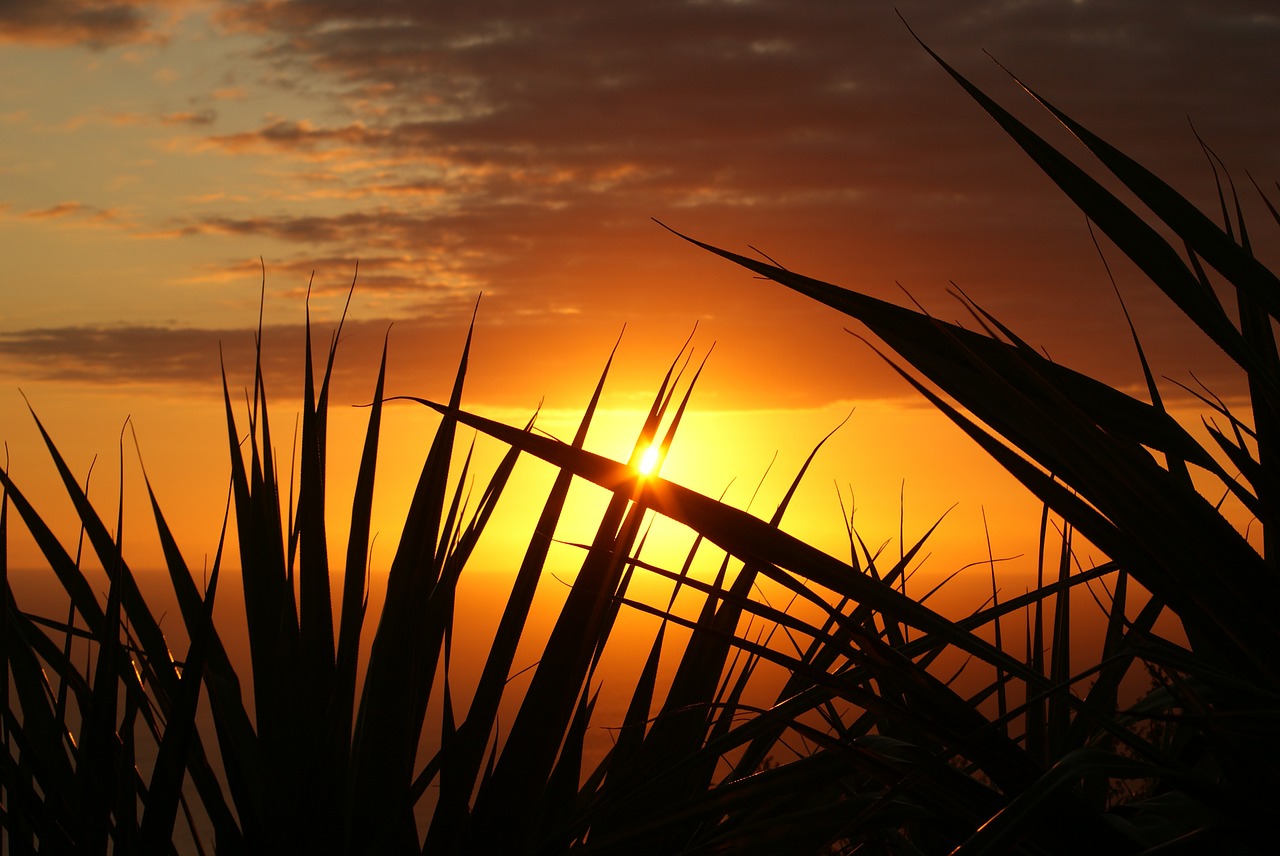 Image - sunset sun evening twilight beach