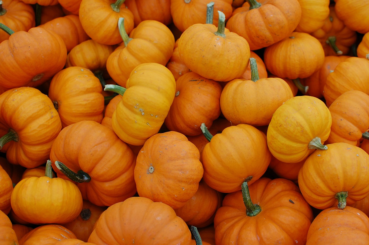 Image - pumpkins october harvest vegetables