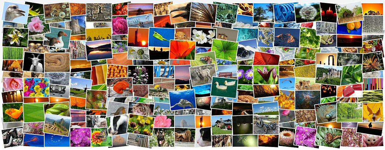 Image - images photos photo collection