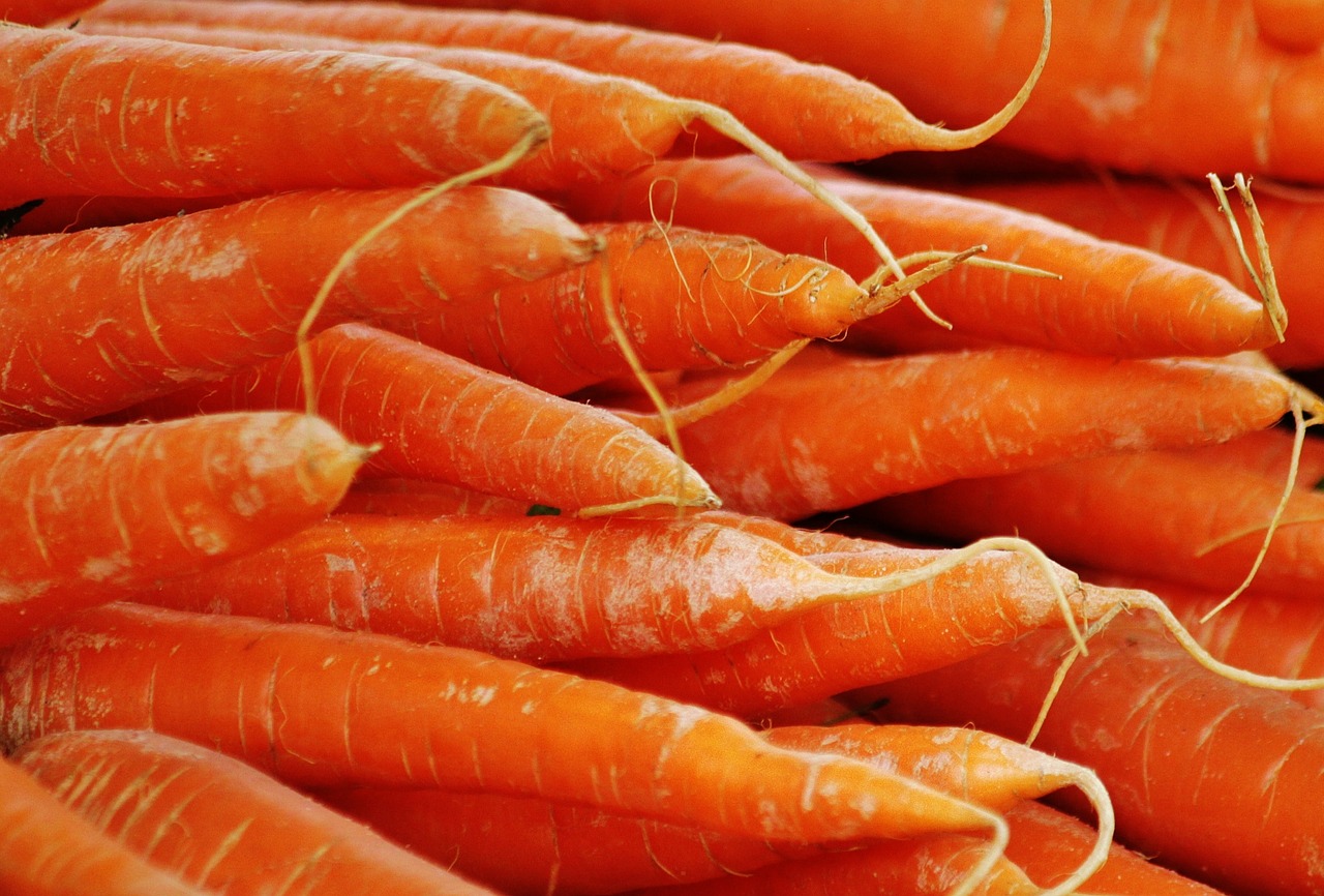 Image - carrots vegetables food orange