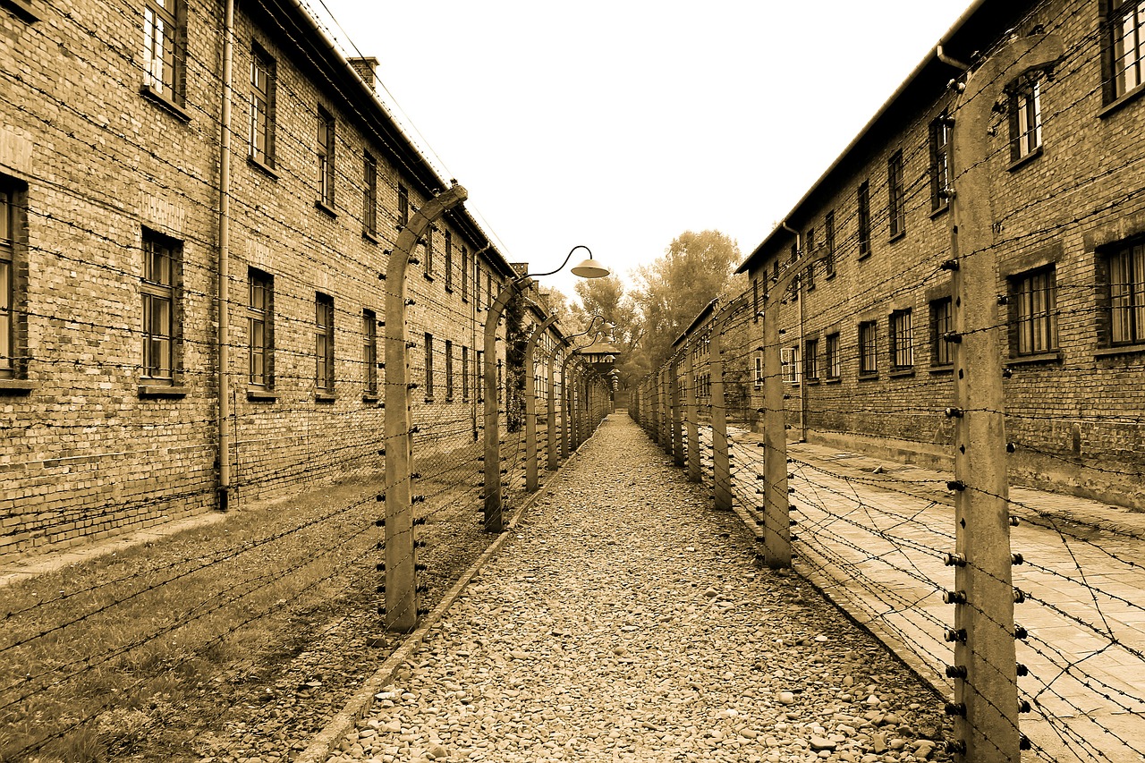 Image - auschwitz extermination camp alley