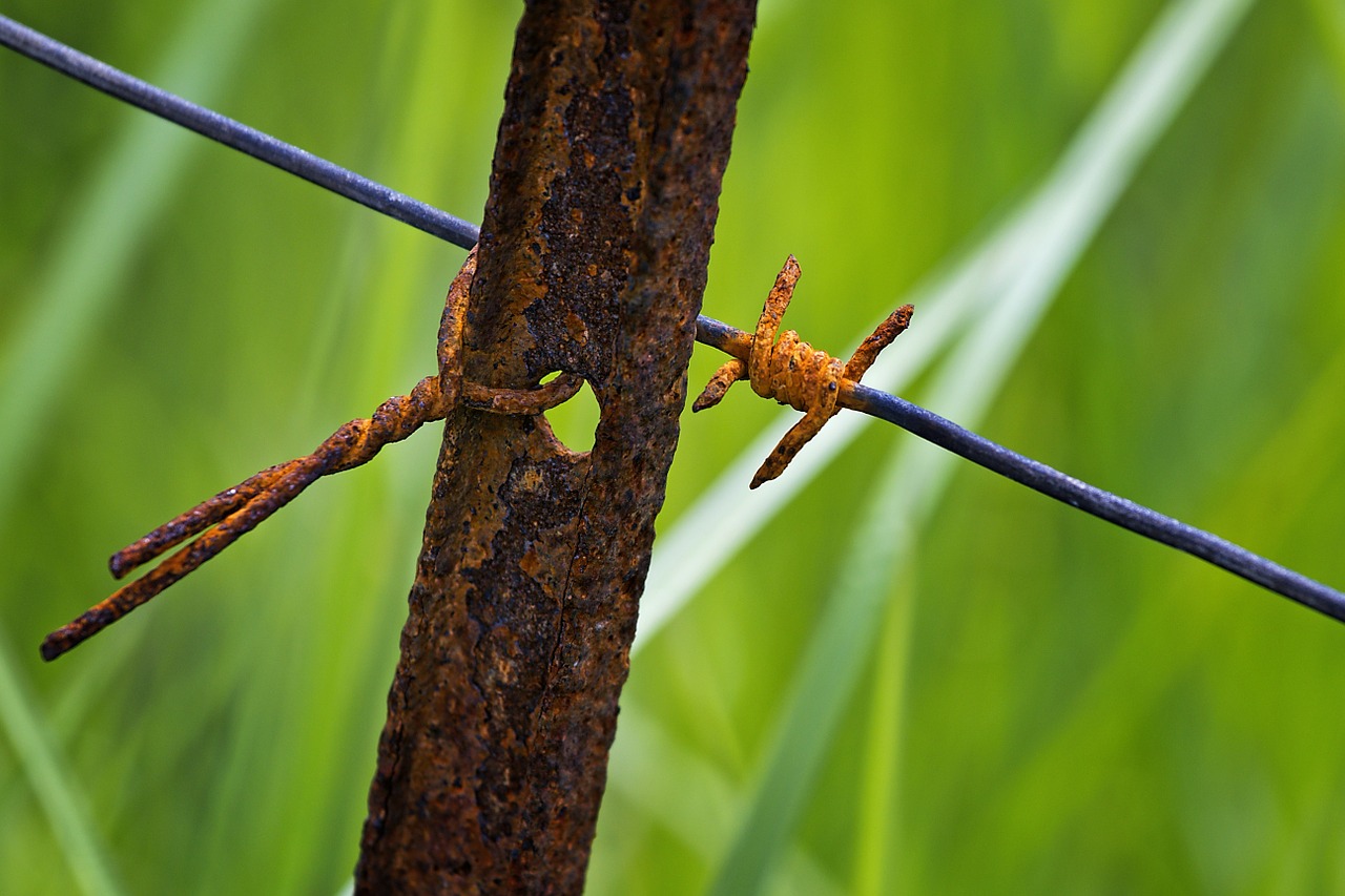 Image - fence post rusty iron wire barbed