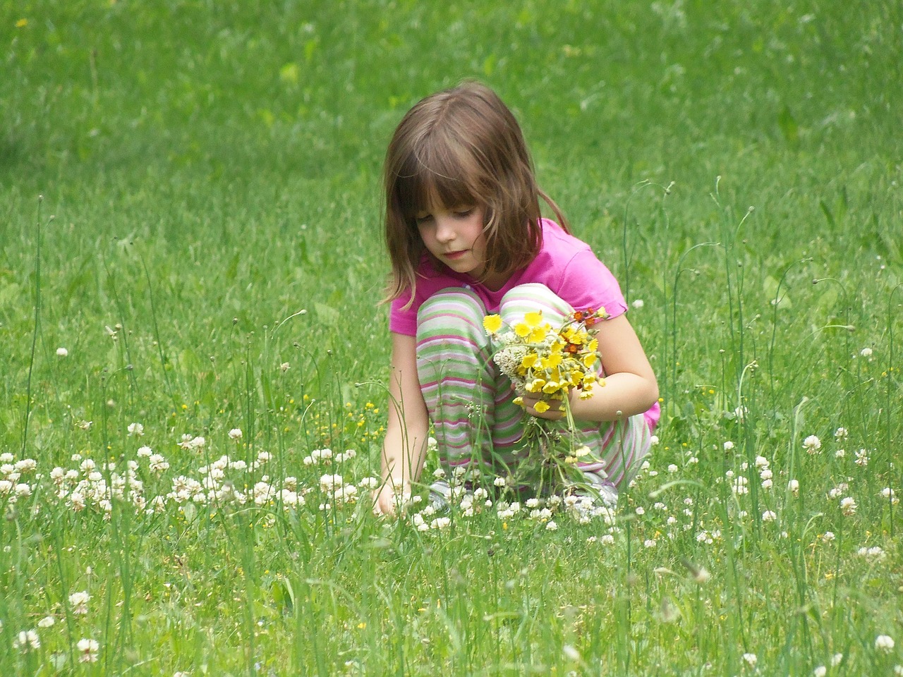 Image - picking flowers girl child