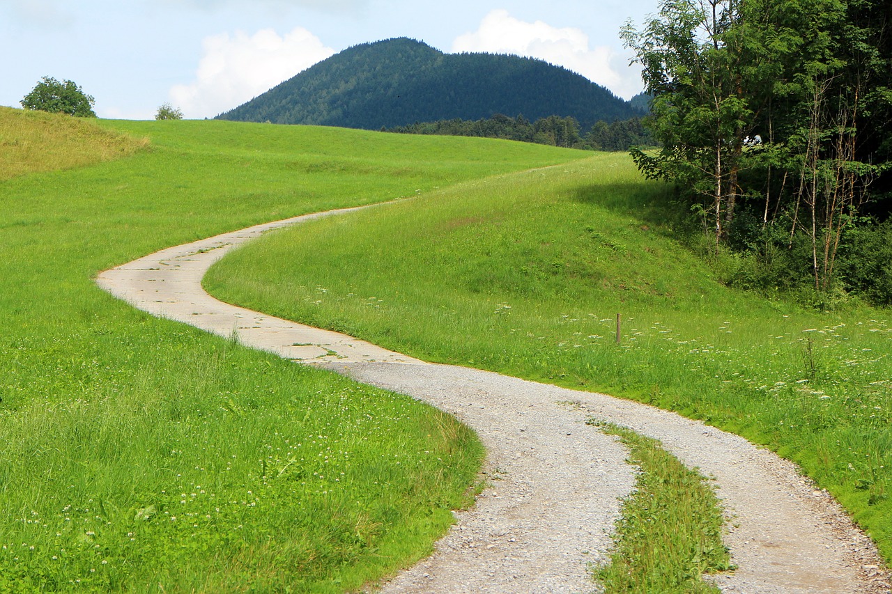 Image - away lane nature field landscape