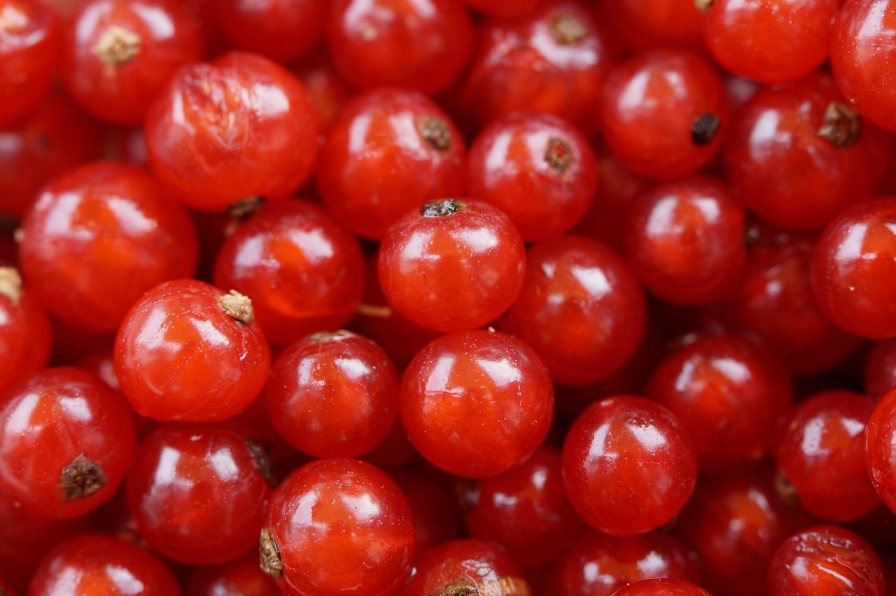 Image - currants berries fruit red