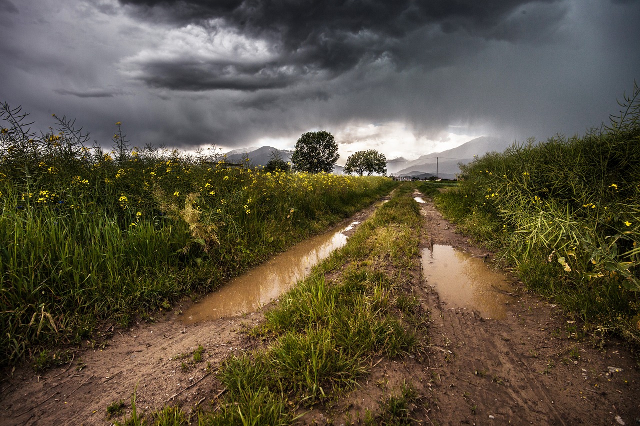 Image - country road dirt road rural