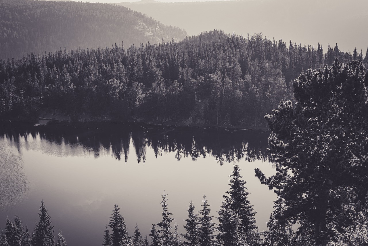 Image - canada lake black and white calm