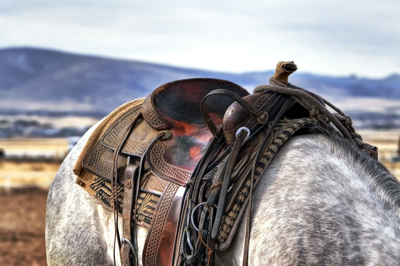 Image - saddle horse cowboy western