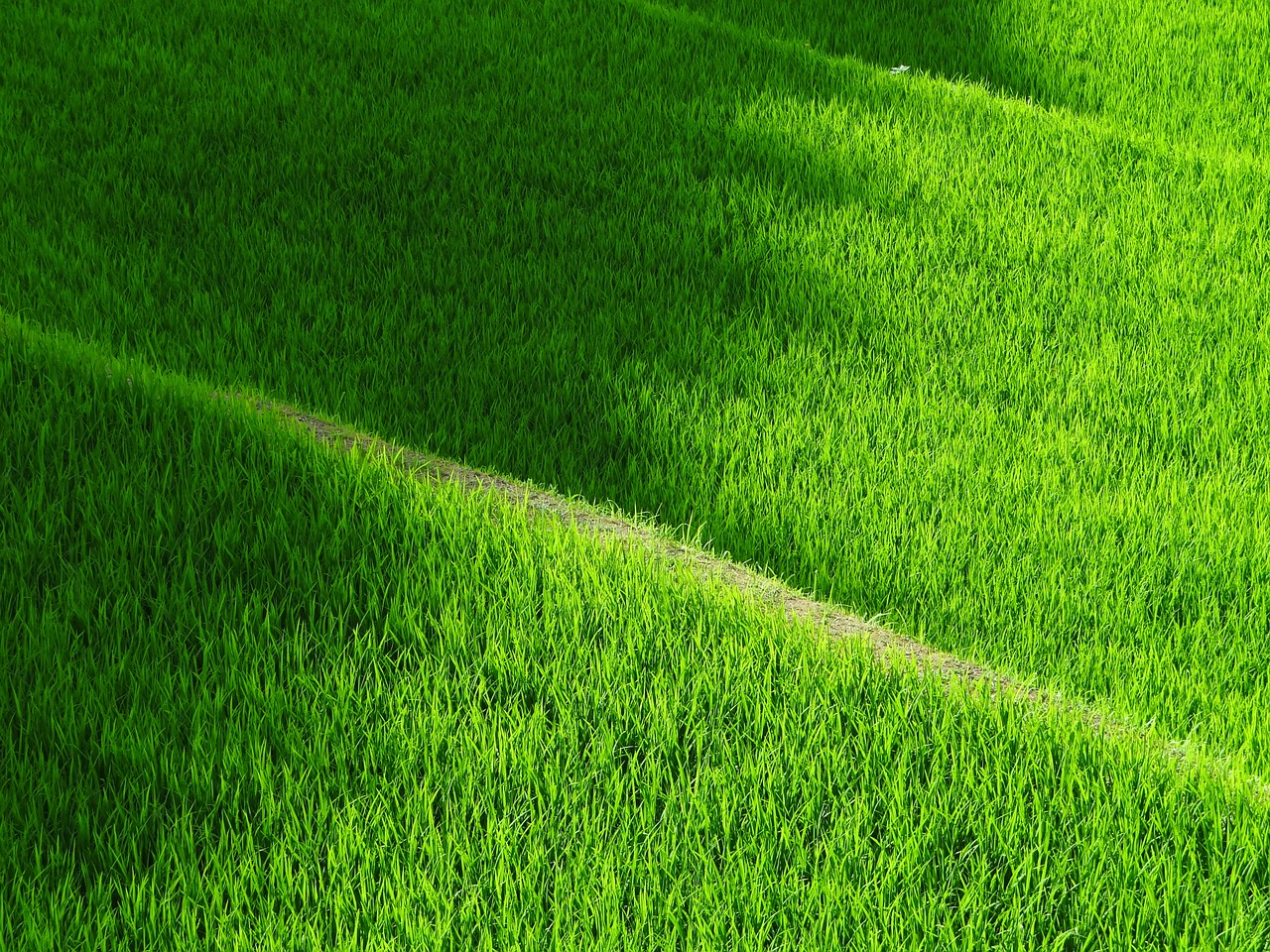 Image - rice terraces yamada s rice fields