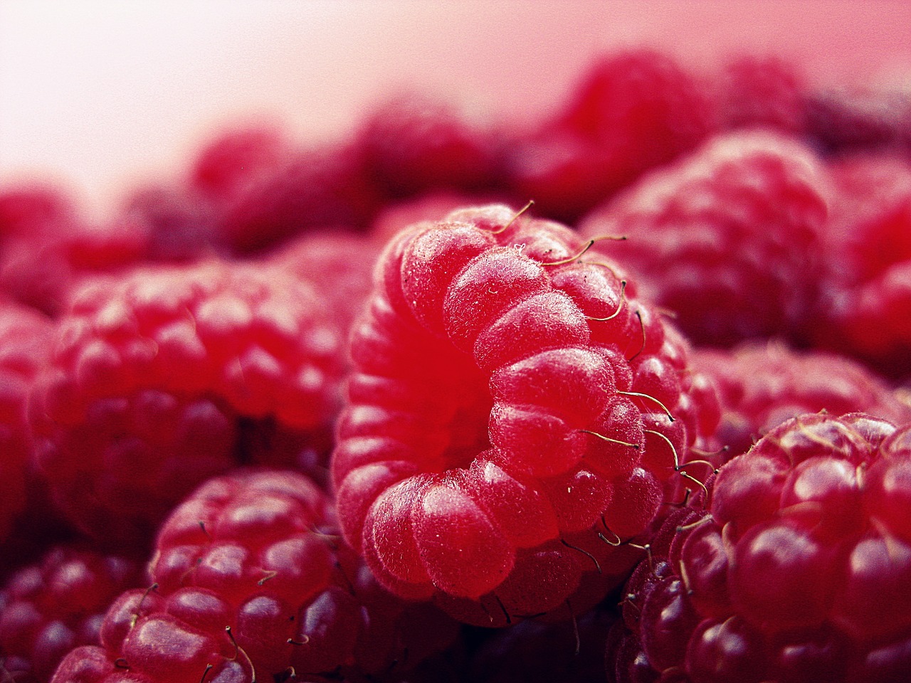 Image - raspberry fruits fresh red