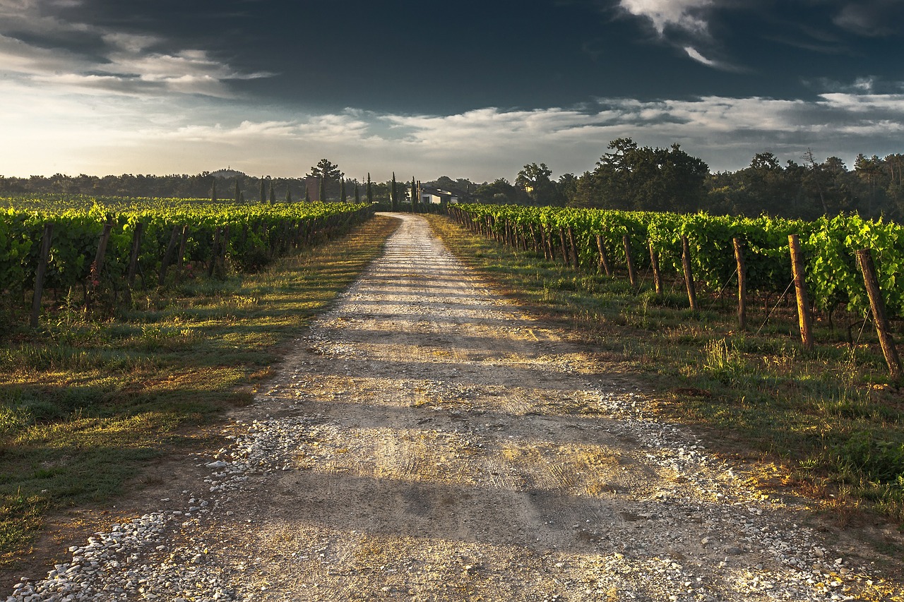 Image - country lane gravel road tuscany