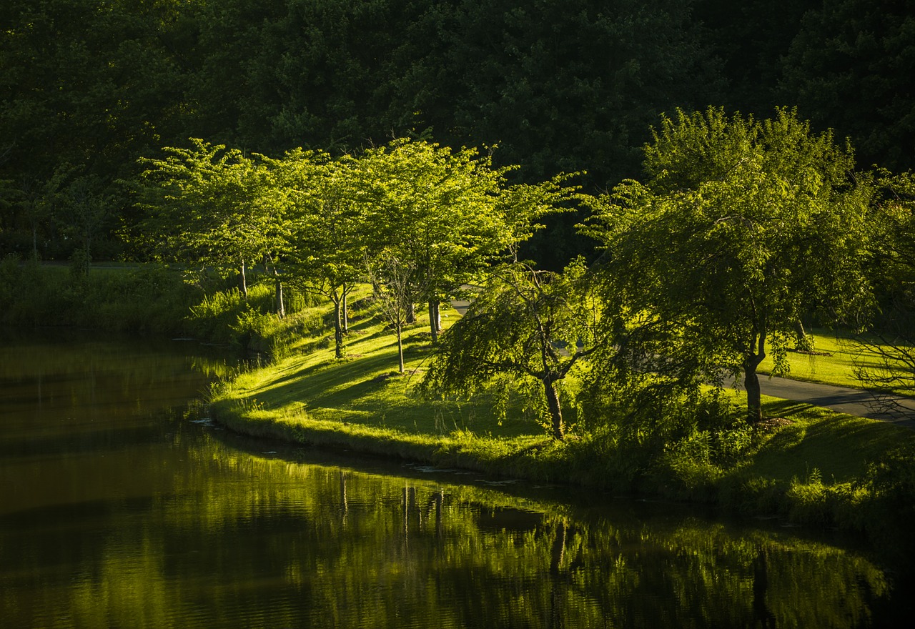 Image - park nature virginia landscape