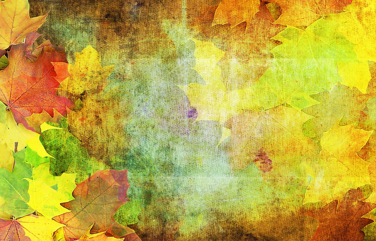 Image - autumn background emerge october