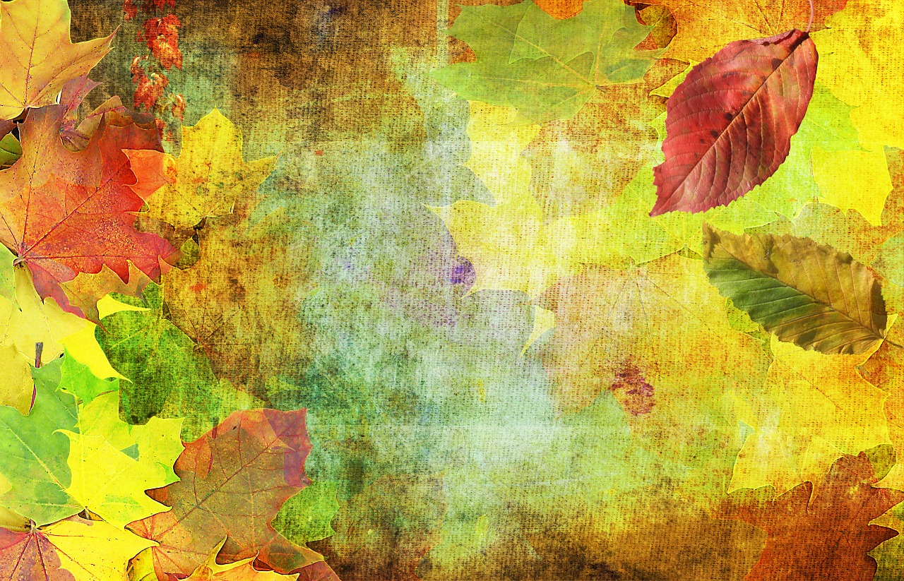 Image - autumn background emerge october