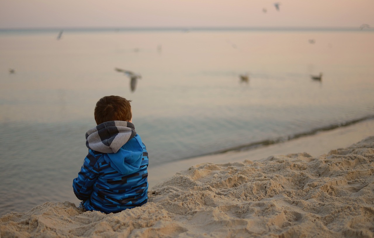 Image - child birds sea loneliness sadness