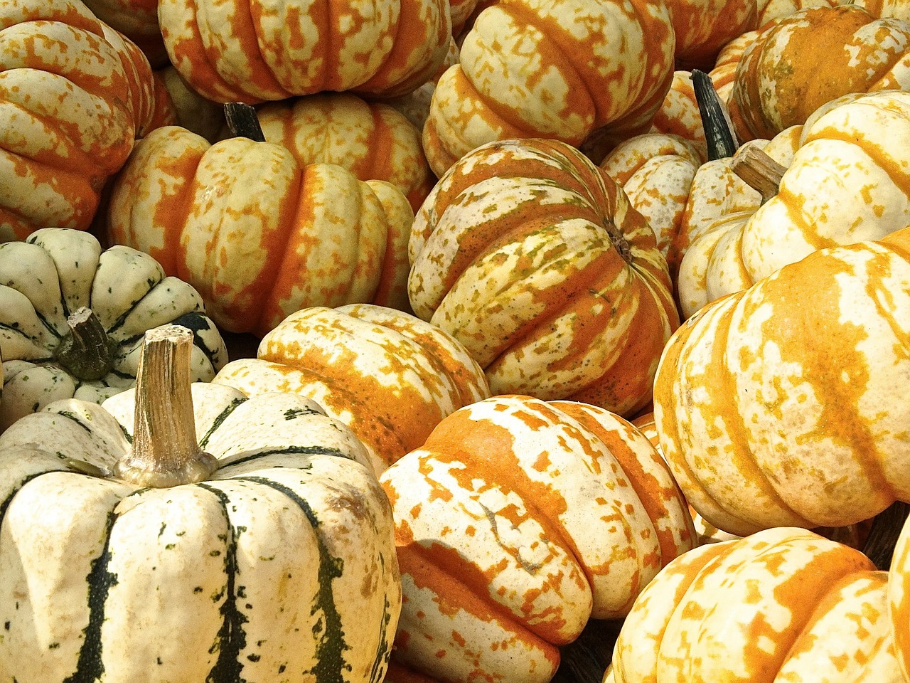 Image - pumpkin gourd decoration structure