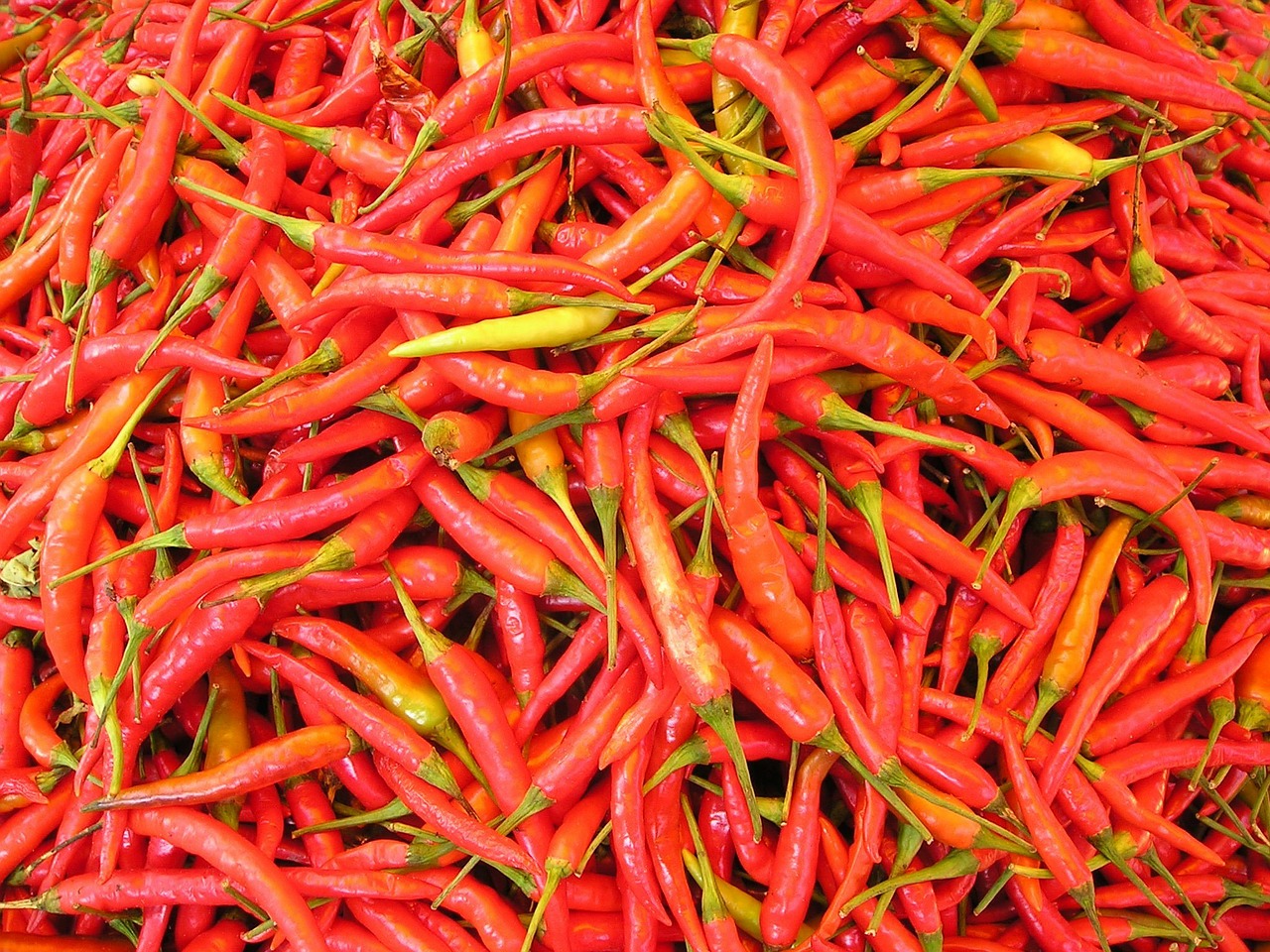 Image - chilli pepper sharp spices laos