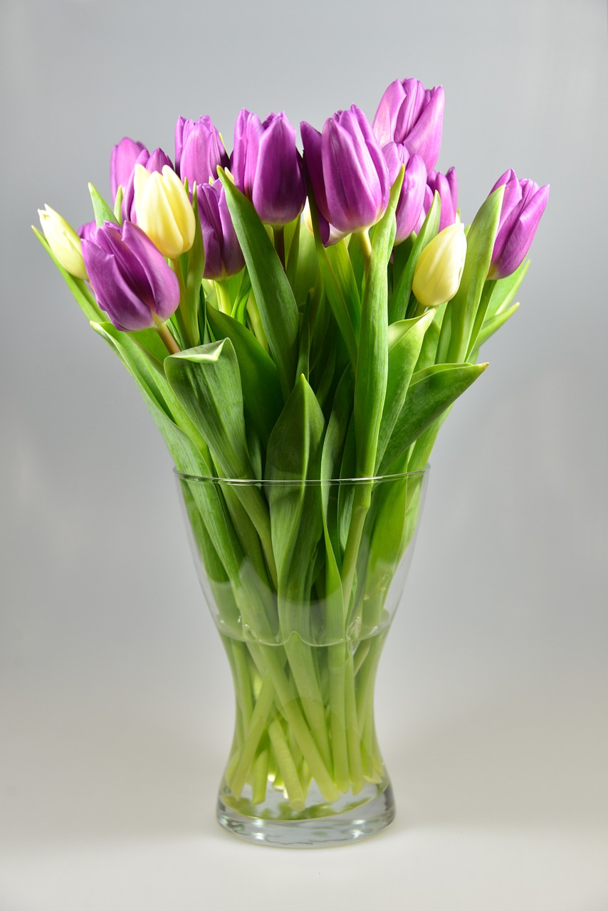 Image - flower vase tulips bouquet flowers