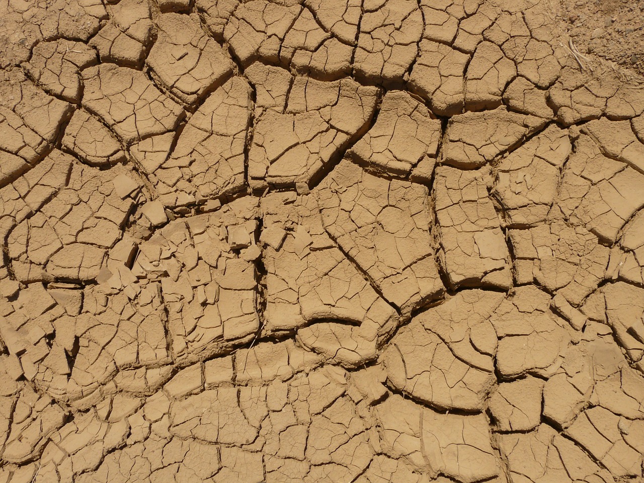 Image - ground dry parched desert crack