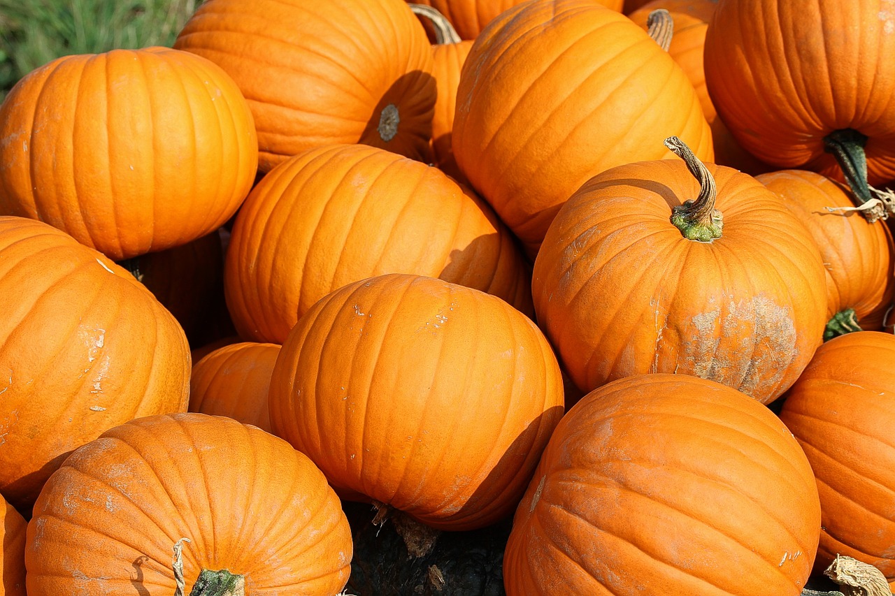 Image - pumpkins yellow vegetables food