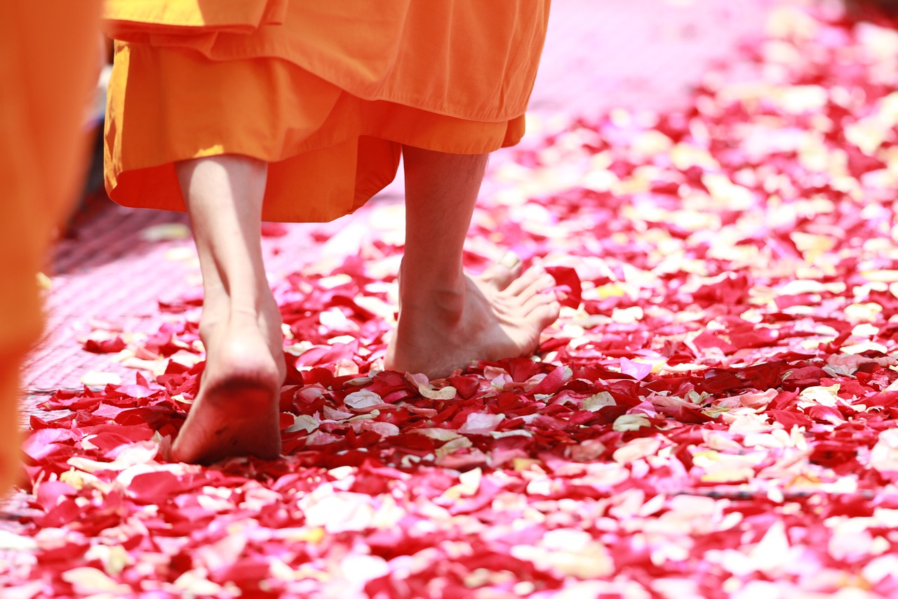 Image - monk walking rose petals buddhism