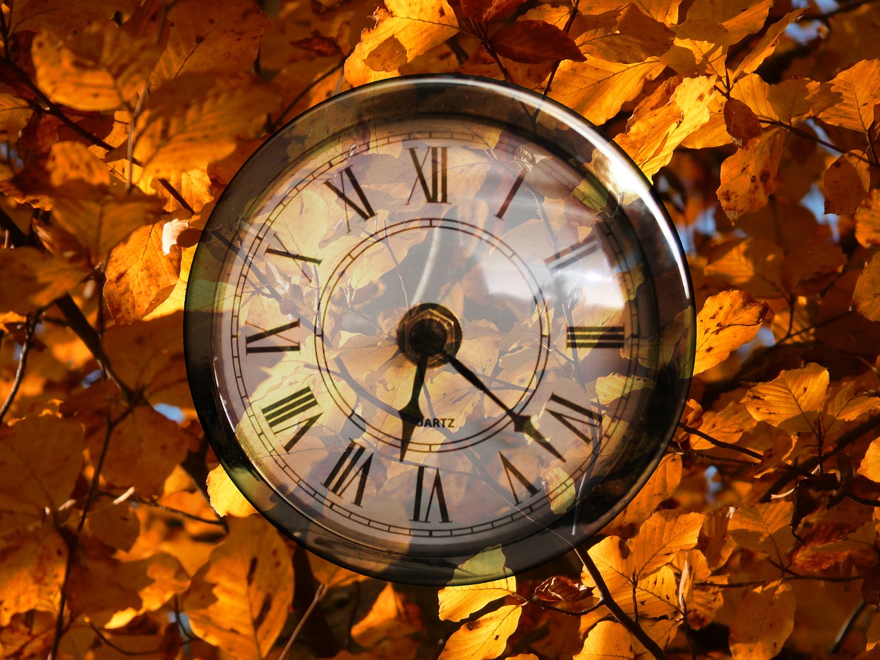 Image - life time pocket watch time beech