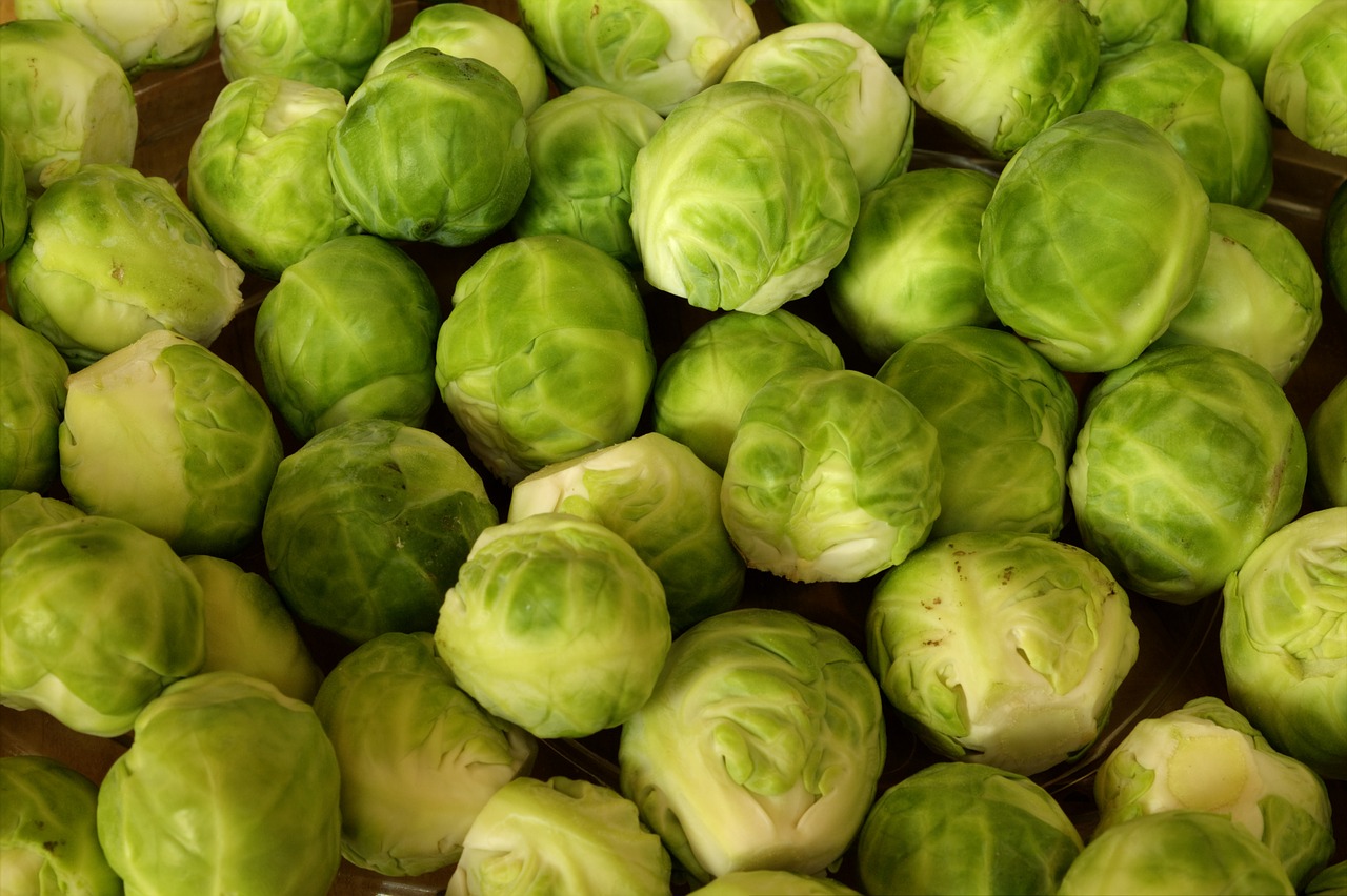 Image - brussels sprouts vegetables