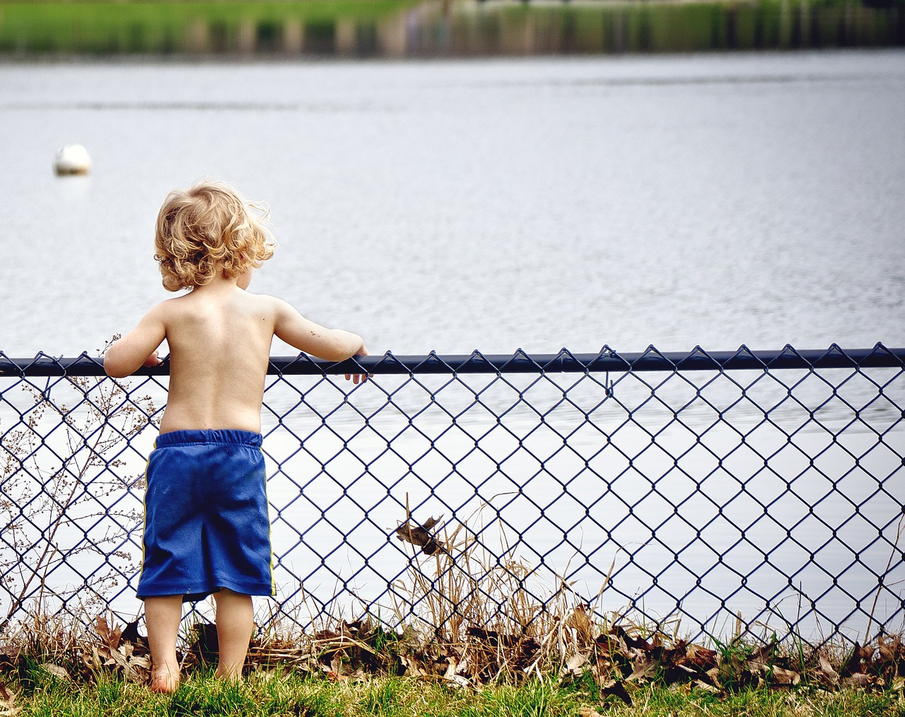 Image - boy kid young water watching