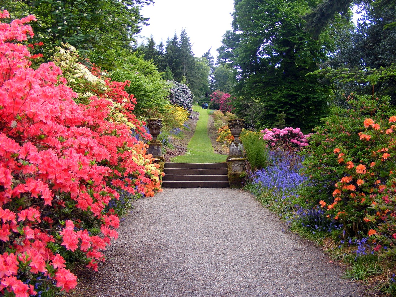 Image - garden flowers bushes path tree