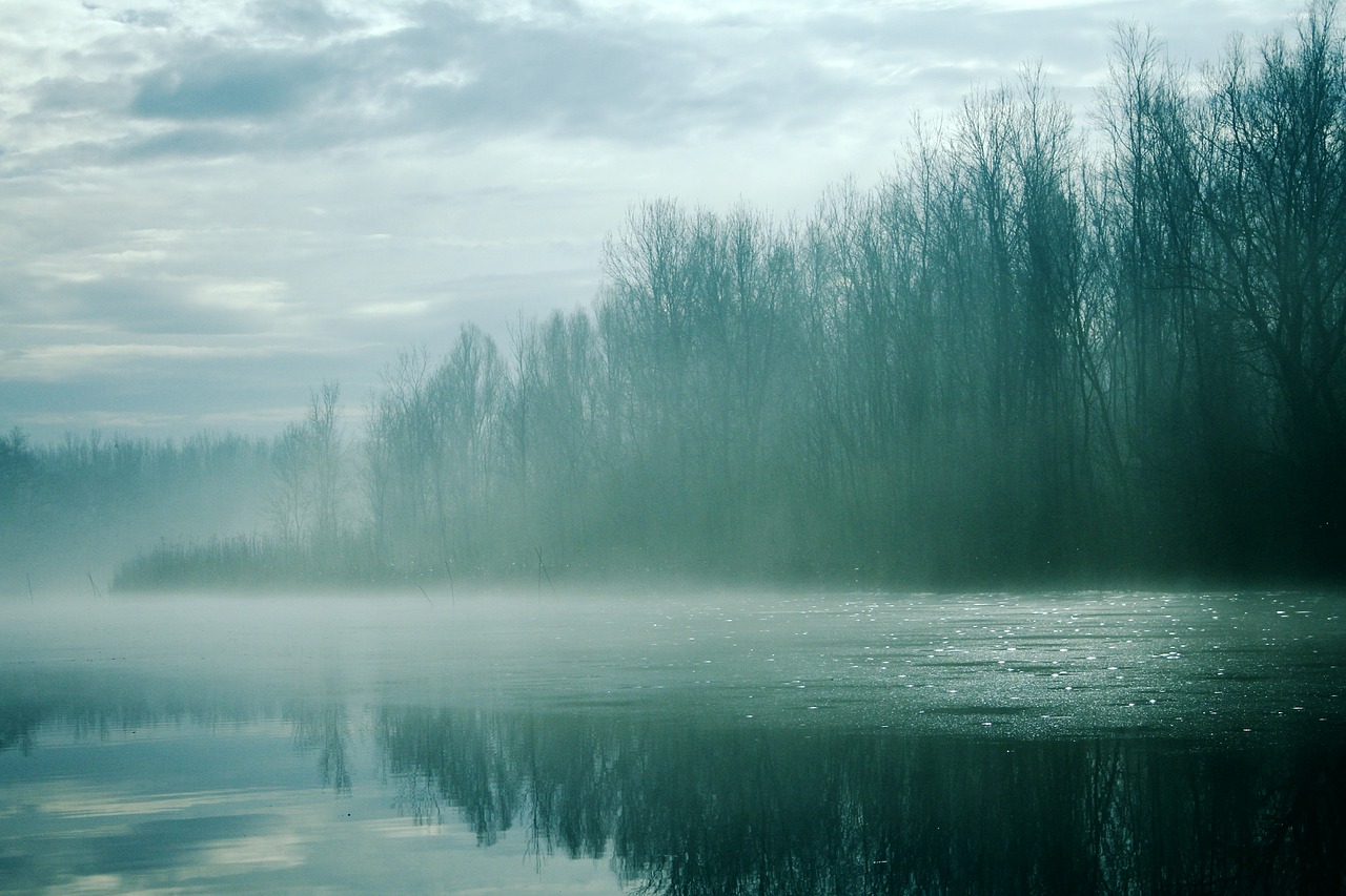Image - frosty foggy misty river winter