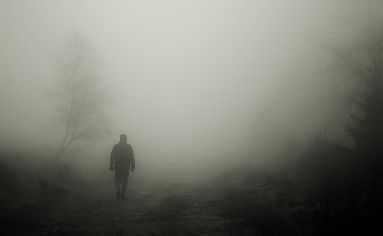 Image - walkers autumn fog man human mood