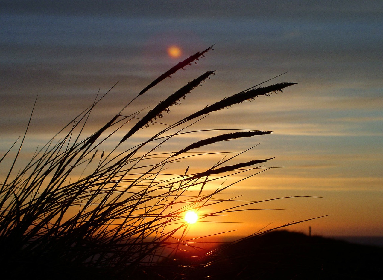 Image - sun grass dune denmark sky north