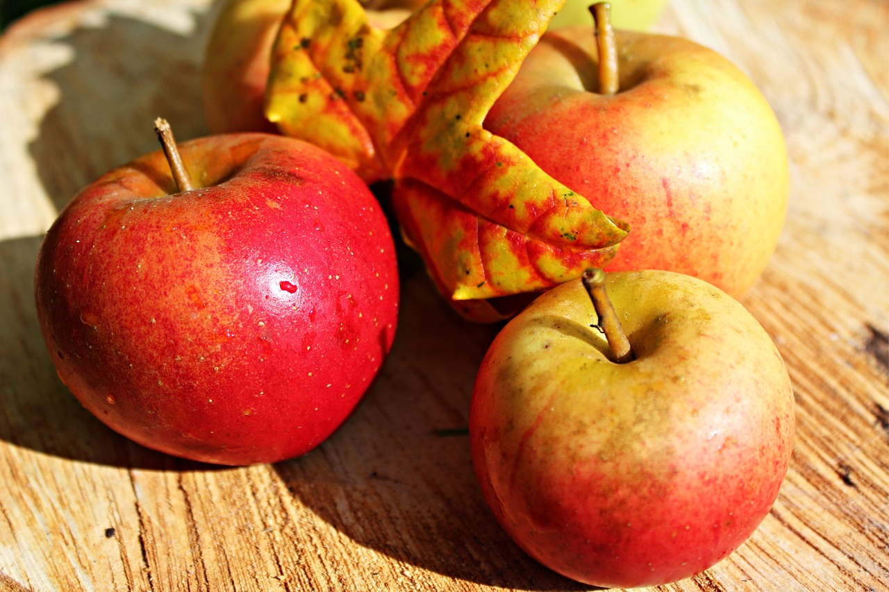 Image - apple ripe red autumn fruits