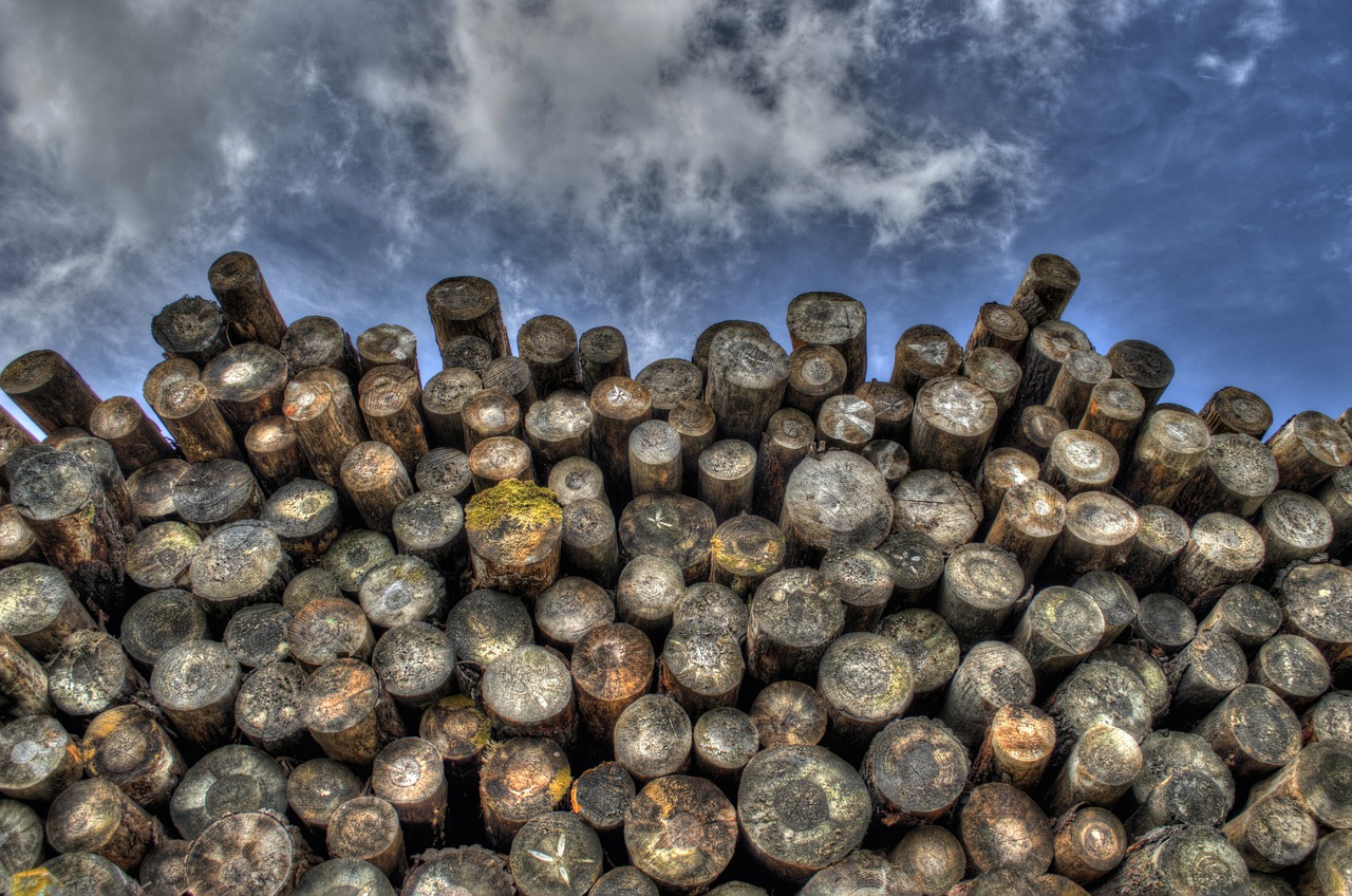 Image - logs wood timber lumber woodpile