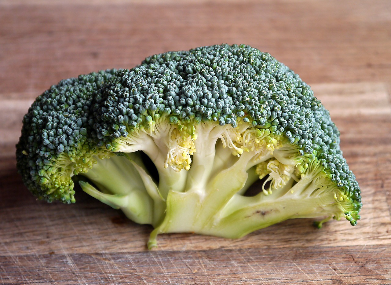 Image - broccoli vegetable food healthy