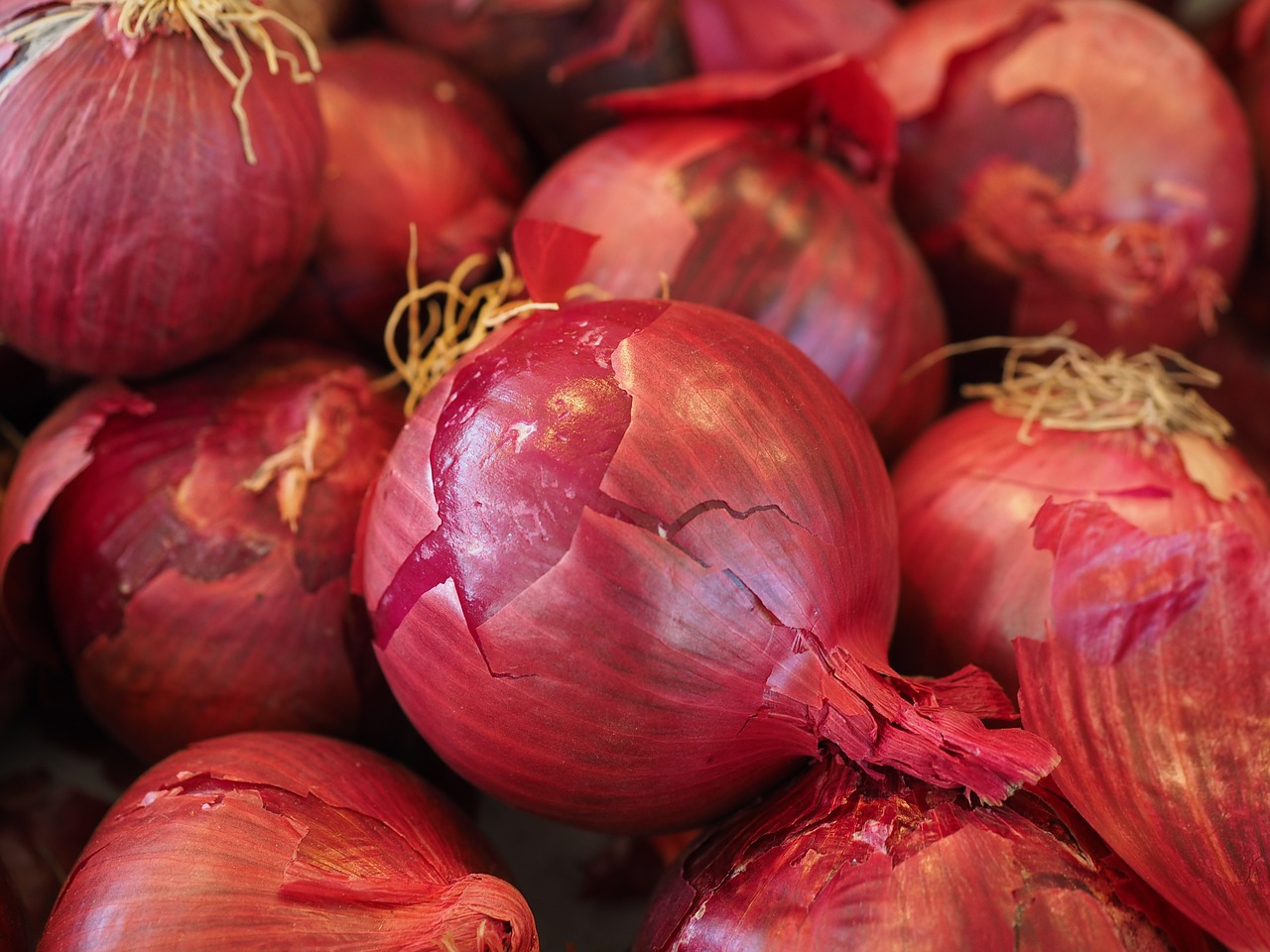 Image - red onions vegetables vegetable onion