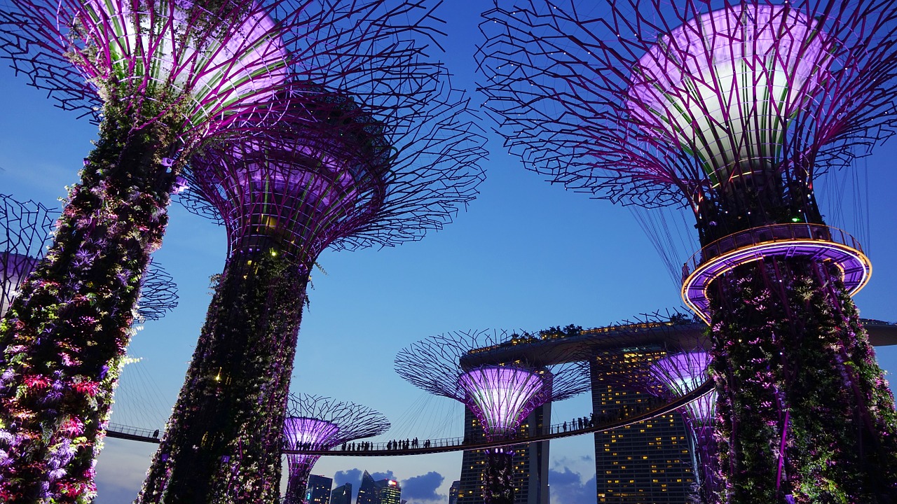 Image - garden by the bay singapore night