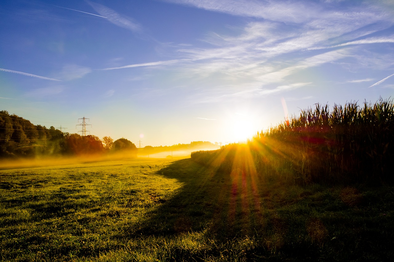 Image - sunrise morning mist fog back light