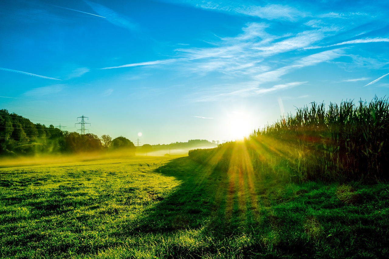 Image - landscape sunrise morning mist fog