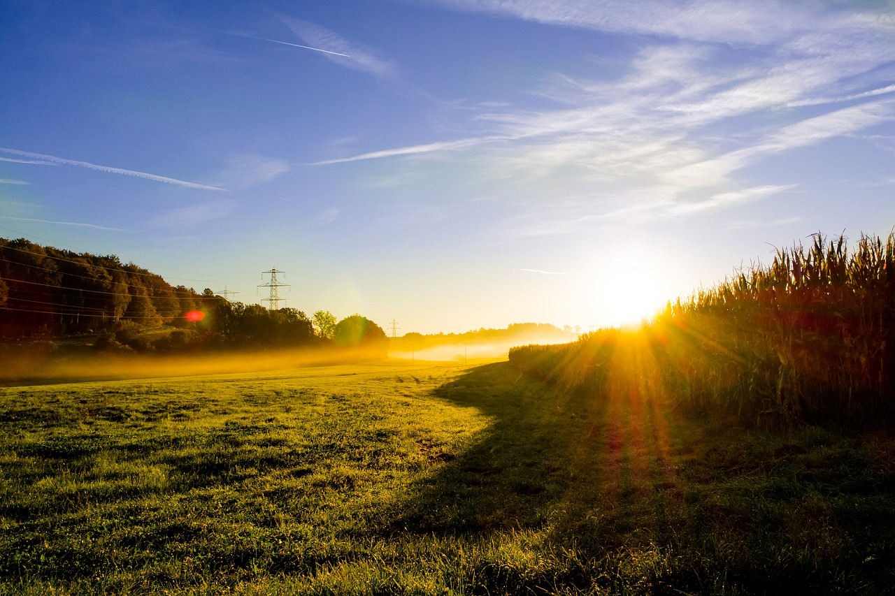 Image - meadow sunrise morning mist fog