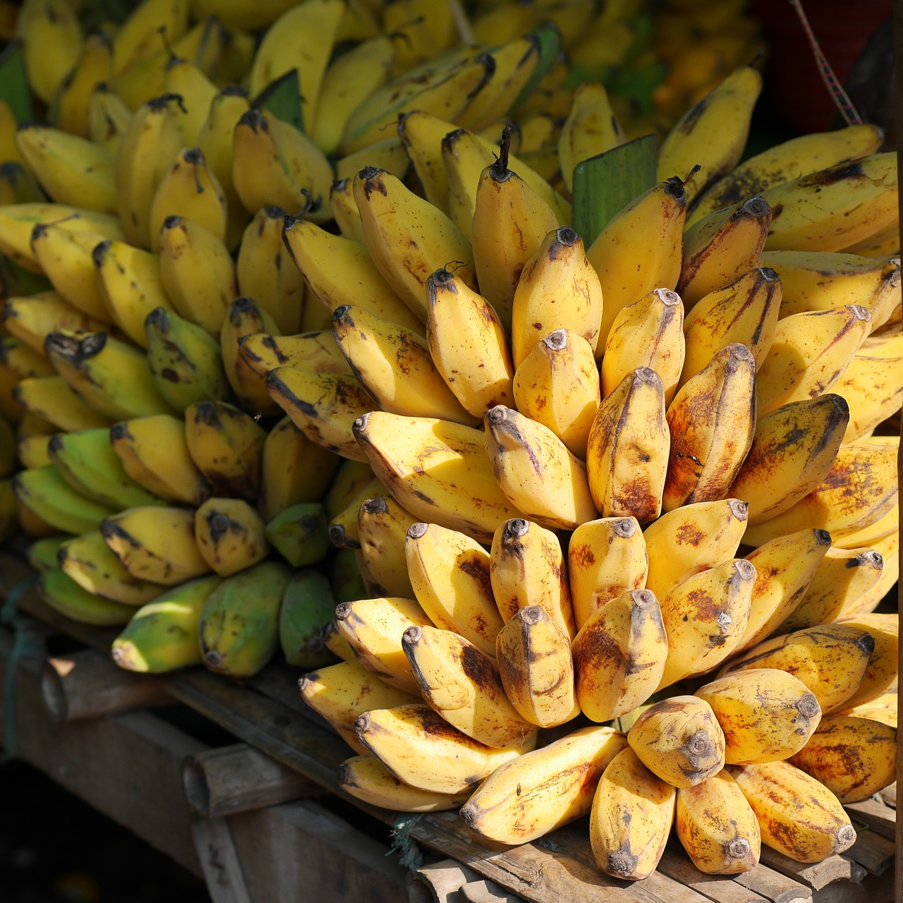 Image - bananas banana shrub fruits yellow