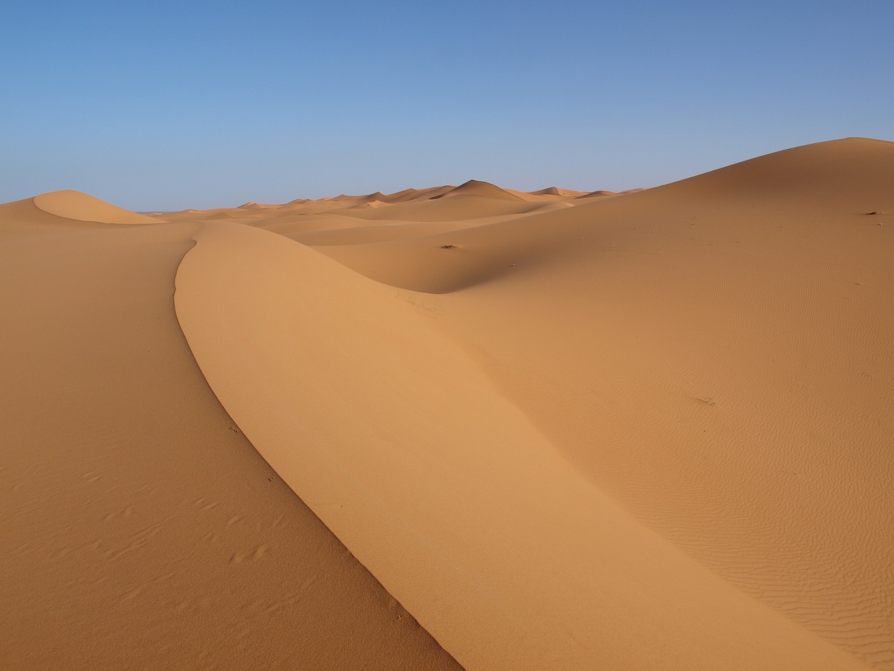 Image - sahara desert sand africa morocco