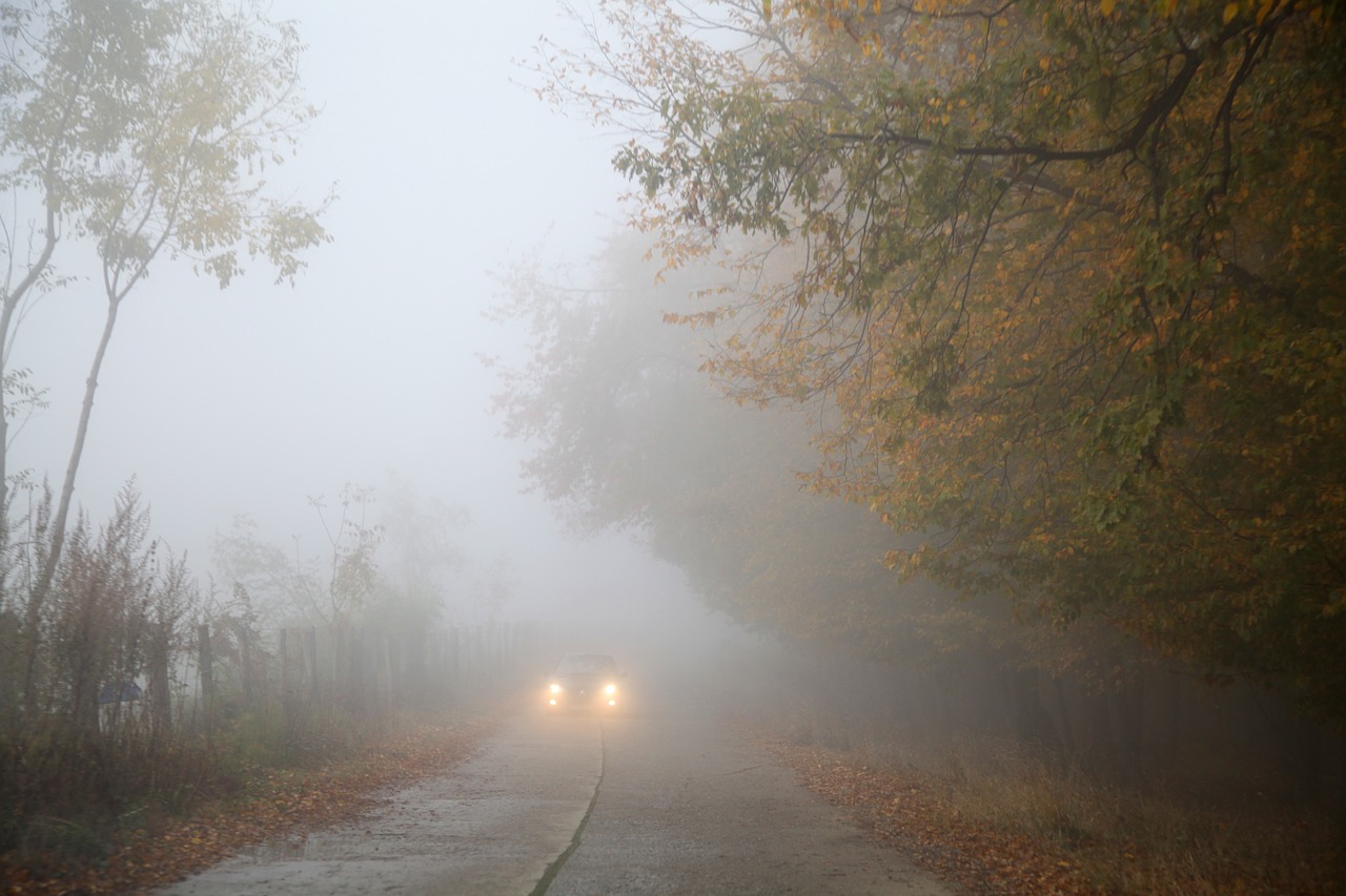 Image - fog autumn car mist foggy forest