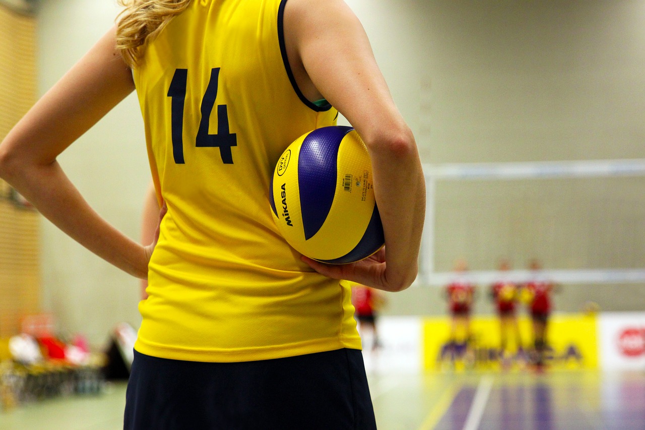 Image - volleyball sport ball volley