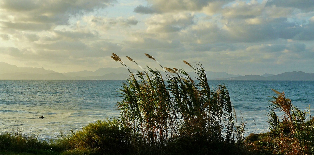 Image - coast sea rocky coast surf beach