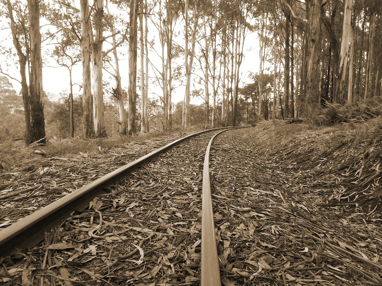 Image - rail old rails train steam